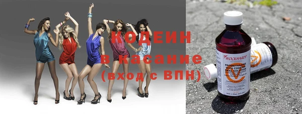 индика Белая Холуница