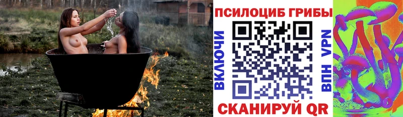 Галлюциногенные грибы MAGIC MUSHROOMS  Холм 